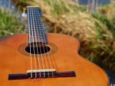 Festival Django Reinhardt 2022 : Melody Gardot, Jamie Cullum... voici la programmation