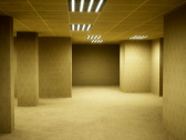 Escape the Backrooms