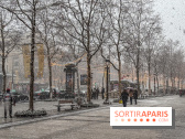 La Neige à Paris - IMG 2832