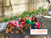 Paris Sausage Walk 2023 : la marche des teckels de retour dans la capitale, pour la bonne cause !