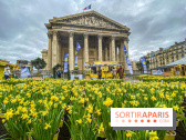 Une Jonquille pour Curie au Panthéon