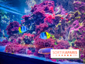 L'Aquarium Tropical de la Porte Dorée