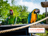 Parrot World, le parc animalier immersif d'Île-de-France