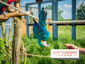 Parrot World, le parc animalier immersif d'Île-de-France