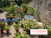 Jardins jardin aux Tuileries 2022