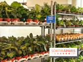Plantes pour Tous, les prochaines ventes de plantes à partir de 2€ à Paris