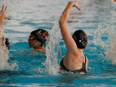 visuel piscine