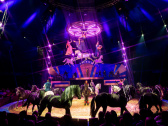 Les Folies Gruss, un spectacle de cirque équestre féérique à Paris