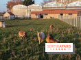 Fermes de Gally - Saint Denis - 121E8A17 ECDB 4F1B 90A8 CF8CA8E2C832