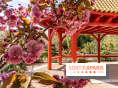 Square Médéric Colombes - jardin japonais 92
