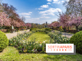 Parc de Bécon à Courbevoie - Pavillon des Indes - Cerisiers en fleurs