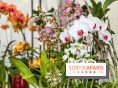 Esprit Jardin à Versailles - Marché aux plantes et animations