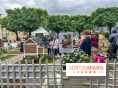 Esprit Jardin à Versailles - Marché aux plantes et animations  - IMG 6140