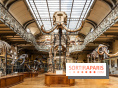 Le mammouth de Durfort restauré au Muséum national d’Histoire naturelle