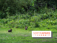 Base de loisirs de Saint-Quentin-en-Yvelines - Ile de loisirs de Trappes - activités
