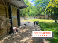 La ferme de la Villette et ses animaux
