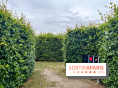 Les labyrinthes de Gally 2023