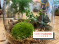 Boby la Plante