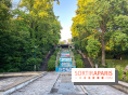Le parc de Belleville