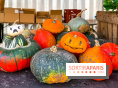 Automne au Potager du Roi - Citrouilles - Halloween