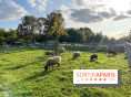 La ferme pédagogique du parc des Chanteraines