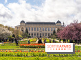 Visuel Paris 5e -  jardin des plantes - museum - printemps - cerisiers