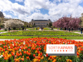 Visuel Paris 5e -  jardin des plantes - museum - printemps - fleurs