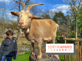 Visuels enfants, attractions, parc, Jardin d'Acclimatation, animaux, zoo