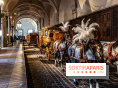 La Galerie des Carrosses de Versailles, le musée gratuit aux Grandes Ecuries -  A7C8969