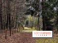 Arbor&Sens, l'Arboretum de Franchard en forêt de Fontainebleau - les photos