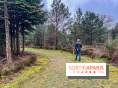 Arbor&Sens, l'Arboretum de Franchard en forêt de Fontainebleau - les photos