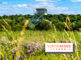 Le Parc du peuple de l'herbe dans les Yvelines - Étang de Galiotte - Carrières-sous-Poissy