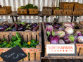 Les Saveurs du Potager du Roi à Versailles : marché de fruits & légumes, expositions et animations