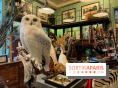 Deyrolle, l'incroyable cabinet de curiosités à Paris - nos photos