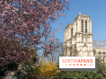 Le Square Viviani devant Notre-Dame de Paris