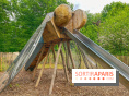 Mission Forêt