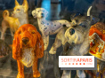 Collection dédié aux chiens