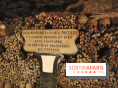 Les Catacombes de Paris - visuels  - fotor 1749245949100
