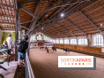 Visite guidée de l'École Mlitaire d'Équitation