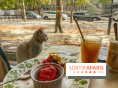 Chat-Rivari Café