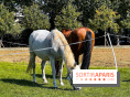Tous en piste ! à Maisons-Laffitte (78): poneys, calèche et spectacles équestres gratuits au château