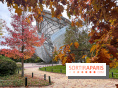 Gerhard Richter : l'exposition retrospective évènement en octobre à la Fondation Louis Vuitton  - 2