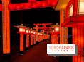 Le Japon en Lumières : le parcours lumineux et festival des lanternes 2025 du Jardin d'Acclimatation - IMG 4847