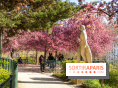 Les pommiers et cerisiers en fleurs du Jardin de Reuilly, Parc de Reuilly à Paris 12e - photos  - balade