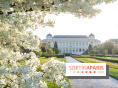Les floraisons exceptionnelles du Jardin des Plantes 2026 : tulipes, coquelicots et cerisiers - photos