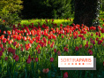 Le Parc de Bagatelle au printemps, cerisier, tulipes et jonquilles - photos