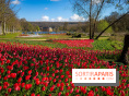 Les tulipes du Château de Dampierre, son jardin anglais et le jardin Le Nôtre
