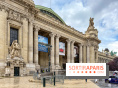 Tour Auto 2026 : plus de 230 voitures de collection s'exposent sous la verrière du Grand Palais