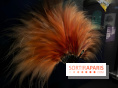 Plumes de Paradis, l'expo au musée du Quai Branly - nos photos