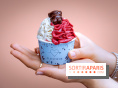 Le comptoir à glaces de Pleincœur et ses coupes glacées - photos
